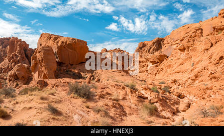Rainbow Vista, red sandstone cliffs, Mojave Desert, Valley of Fire, Nevada, USA Stock Photo