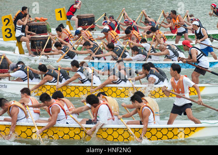 SINGAPORE - NOVEMBER 21: Teams compete in a dragon boat race in Singapore on 21st November 2004. Steersmen stand at the back of each boat, while drumm Stock Photo