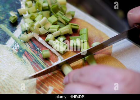 Woman cuts fresh onion top view angle Stock Photo