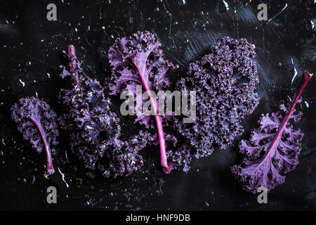 Red kale on black background Red kale on black background