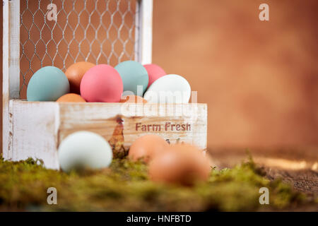 Farm fresh pastel easter eggs in basket and on moss in front of brown wall Stock Photo