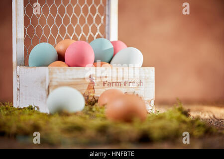 Farm fresh pastel easter eggs in basket and on moss in front of brown wall Stock Photo