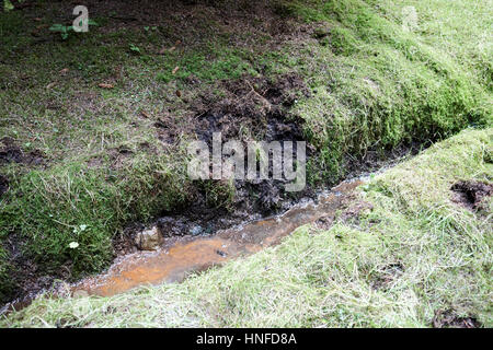 drainage ditch dug in boggy peaty farmland ballymena, county antrim, northern ireland, uk Stock Photo