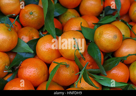 Fresh ripe mandarin oranges (clementine, tangerine) with green leaves on  retail market display, close up, high angle view Stock Photo - Alamy