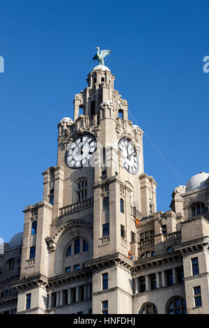 clock tower at the top of the liver building with workers on ropes liverpool uk Stock Photo