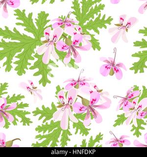 Rose Geranium theme. Seamless pattern vector. Elegant and vivid. Pelargonium Graveolens. Blossoming pink flowers on a green branch. for poster, spa, c Stock Vector