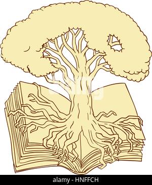 Drawing sketch style illustration of an oak tree rooted on book set on isolated white background. Stock Vector