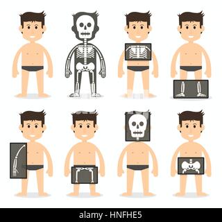 Human and total bone scan(skull , neck , shoulder , scapula , arm , elbow , forearm , wrist , hand , finger , thorax , rib , spine , pelvic , hip , th Stock Vector