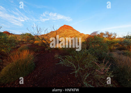 Mount Nameless, Tom Price, Pilbara, Western Australia. Stock Photo