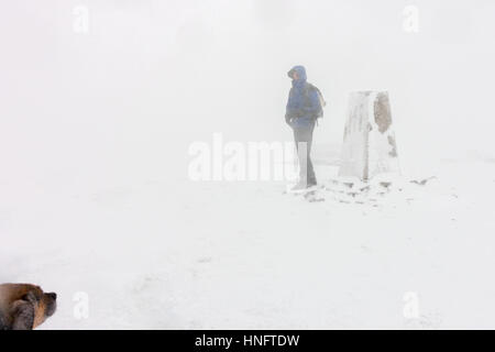 Buckden Pike, Kettlewell, North Yorkshire, UK. 12th Feb, 2017. UK Weather: winter hill walker (and dog!) enjoying a snow storm on top of Buckden Pike in Yorkshire Dales, England. Credit: Rebecca Cole/Alamy Live News Stock Photo