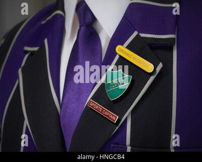 School boys blazer with three school badges Stock Photo - Alamy