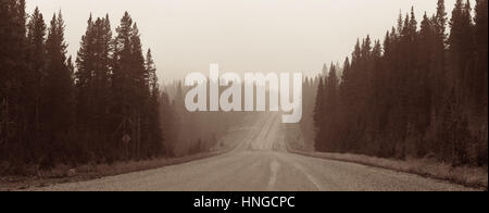 Foggy road in forest in Banff National Park Stock Photo