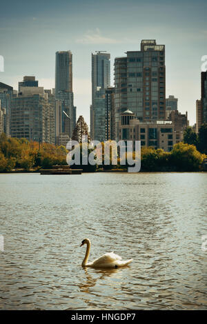 Vancouver city skyline viewed from Stanley Park Stock Photo - Alamy