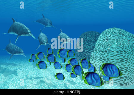 A pod of Bottlenose dolphins chase after a school of Black-backed butterflyfish on a coral reef in tropical ocean waters. Stock Photo