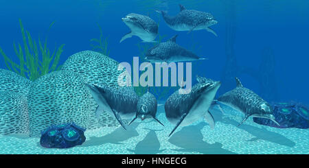 A pod of Bottlenose dolphins look for their next meal on a coral reef in clear tropical ocean waters. Stock Photo