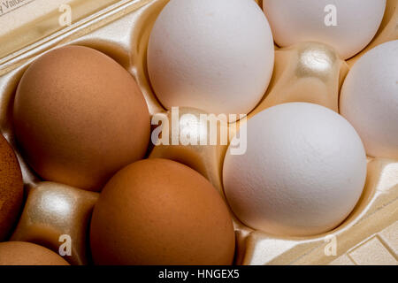 chicken eggs in carton Stock Photo
