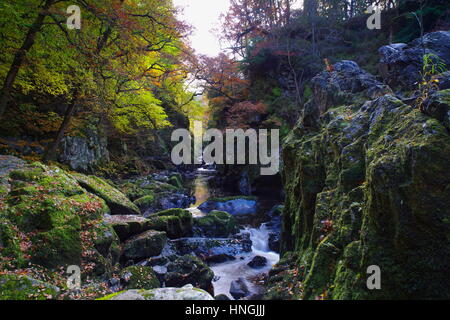 Fairy Glen, Betws y Coed, North Wales, United Kingdom, Stock Photo