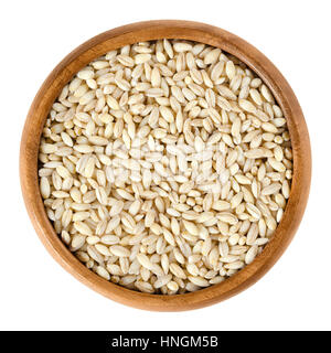 Processed pearl barley in wooden bowl. Uncooked pearled barley without hull and bran. Hordeum vulgare, a major cereal grain. Stock Photo
