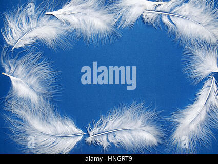 Abstract composition of white feathers on blue background. Frame Stock Photo