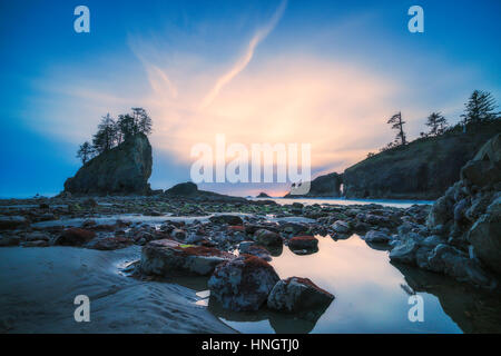 sea stack in sunset time with blue and purple light,scenic view of second beach in mt Olympic National park,Washington,USA. Stock Photo