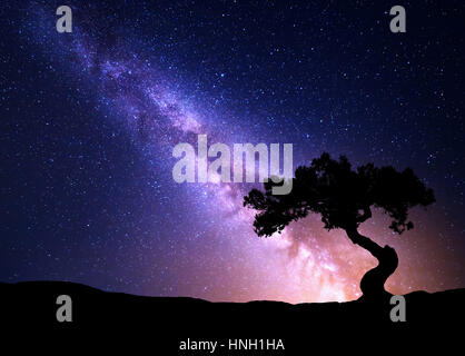 Milky Way and tree on the hill. Old tree growing out of the mountain against night starry sky with purple milky way. Night landscape. Space background Stock Photo