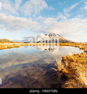 Reflection in Puakai Tarn, stratovolcano Mount Taranaki or Mount Egmont, Egmont National Park, Taranaki, New Zealand Stock Photo
