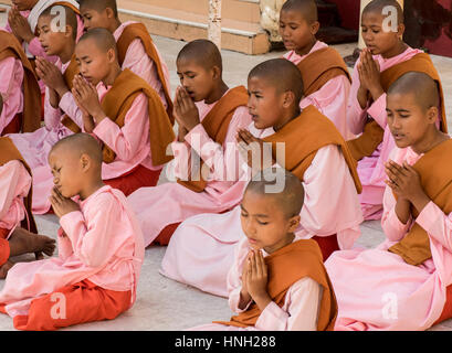 Young Buddhist nuns in distinctive pink robes and in  earnest prayer at the Shwedagon pagoda, Yangon, Myanmar Stock Photo