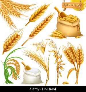 Wheat, barley, oat and rice. Cereals 3d icon vector set Stock Vector