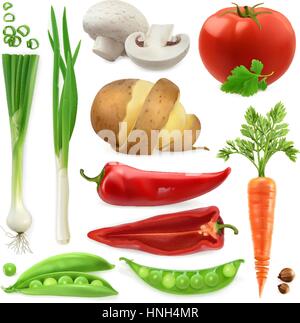 Realistic vegetables. Potato, tomato, green onions, peppers, carrot and pea pod. Isolated 3d vector icon set Stock Vector