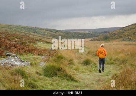 A woman hiking through Dartmoor National Park Stock Photo