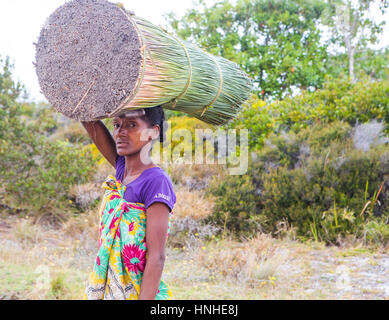 Young malagasy woman walking on the dirt road and carrying a stack of grass on her head. Daily life of people living in rural fishermen's communities  Stock Photo