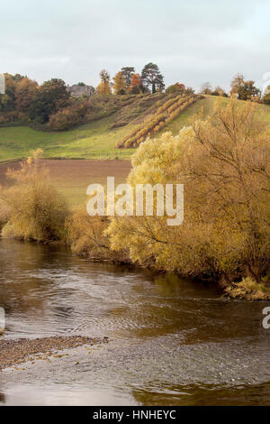 The River Wye. The Wye river runs through a rich fertile farming valley on the border of Wales and England. It has been designated an area of outstand Stock Photo