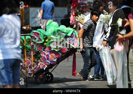 Bangkok, Thailand. 13th Feb, 2017. A worker delivers flowers ahead of the Valentine's Day at the Pak Klong Talad flower market in Bangkok, Thailand, Feb. 13, 2017. Credit: Rachen Sageamsak/Xinhua/Alamy Live News Stock Photo