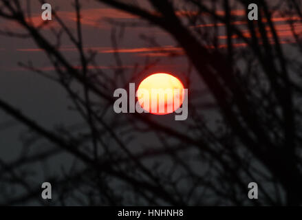 Berlin, Germany. 13th Feb, 2017. View of the sunrise in Berlin, Germany, 13 February 2017. Photo: Paul Zinken/dpa/Alamy Live News