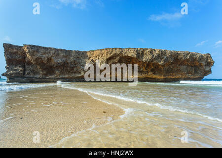 Big  rock on the beach of Aruba Stock Photo