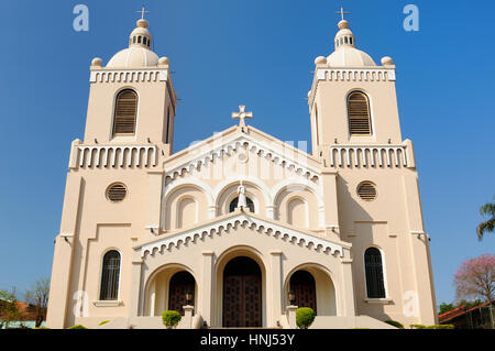 Cathedral of Asuncion, Asuncion, Paraguay, South America Stock Photo ...