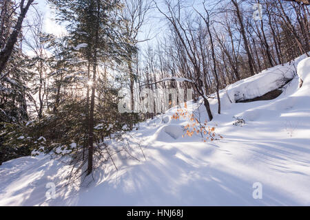 Arrowhead Provincial Park Muskoka Ontario Stock Photo 67681681