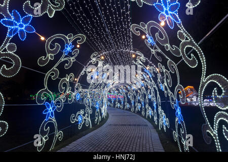 DUBAI, UAE - DEC 6, 2016: Beautiful installations at the Dubai Garden Glow family theme park illuminated at night. United Arab Emirates, Middle East Stock Photo