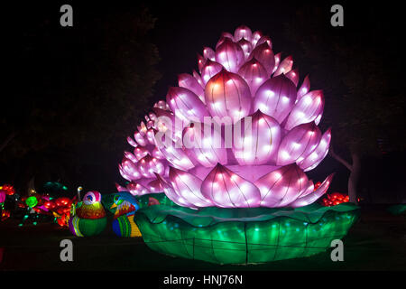 DUBAI, UAE - DEC 6, 2016: Beautiful installations at the Dubai Garden Glow family theme park illuminated at night. United Arab Emirates, Middle East Stock Photo