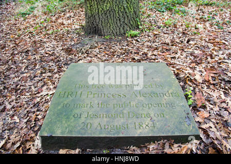 Stone marking public opening of Jesmond dene in 1884 by HRH Princess Alexandra Stock Photo