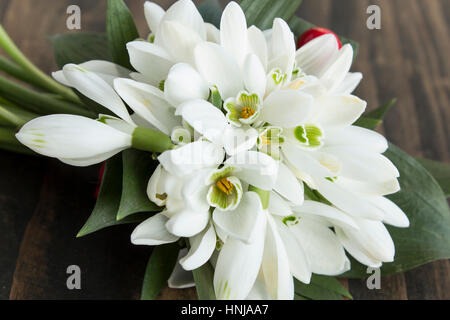 Fresh Snowdrops on a Rustic Wooden Table. Stock Photo