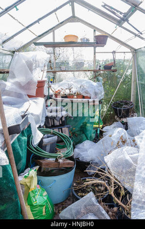 Inside a messy greenhouse in winter Stock Photo