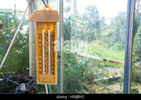 A min max thermometer hanging in a greenhouse Stock Photo