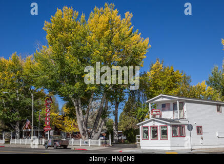 Autumn colors in main street Bridgeport, California, America Stock Photo