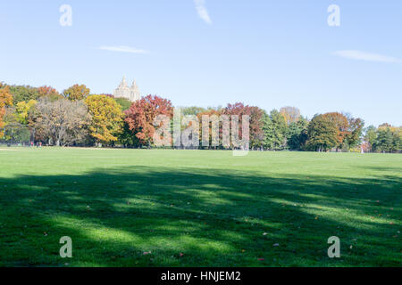 The Grat lawn in Central park is the most iconic gathering spot of the whole park where high scale concerts and events take place Stock Photo