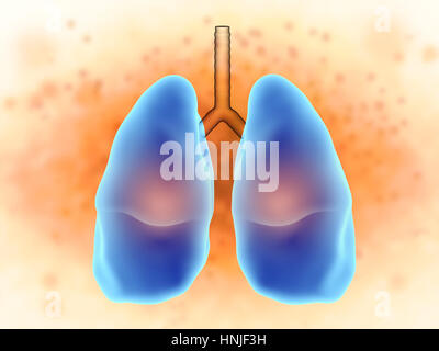 3d rendering lungs in pain Stock Photo