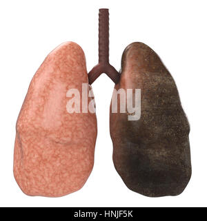 3d rendering black lungs or unhealthy lungs Stock Photo - Alamy