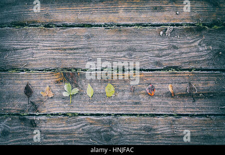Frosty Leaves on Wooden Planks Background Stock Photo