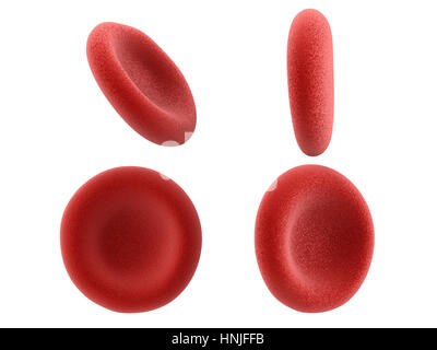 3d rendering red blood cells isolated on white Stock Photo