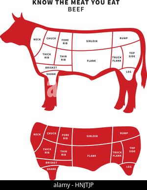 Red Beef Cuts Diagram for roast and steak. Vector illustration. Stock Vector